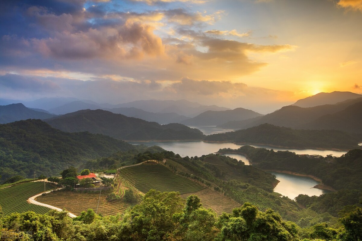 我国四大产茶区及两种特点茶叶,中国十大名茶叶的生长季节