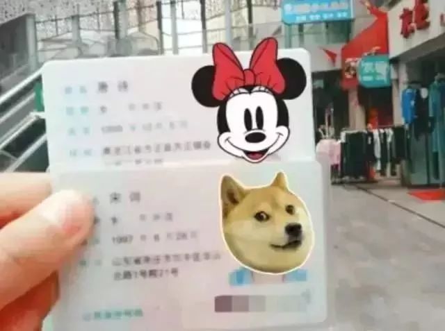 起名叫禤靐龘,禤靐龘男孩名字足足103笔