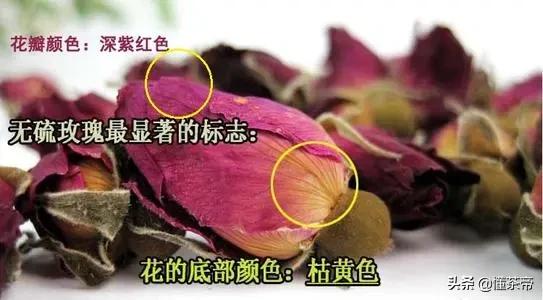 被硫磺熏过的玫瑰花泡水的颜色,一招鉴别硫磺熏过的玫瑰
