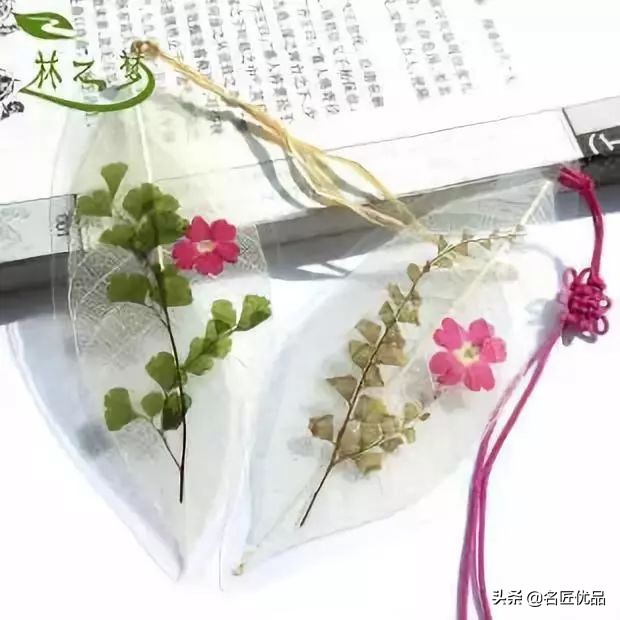 超惊艳的树叶手工,有趣的树叶手工制作