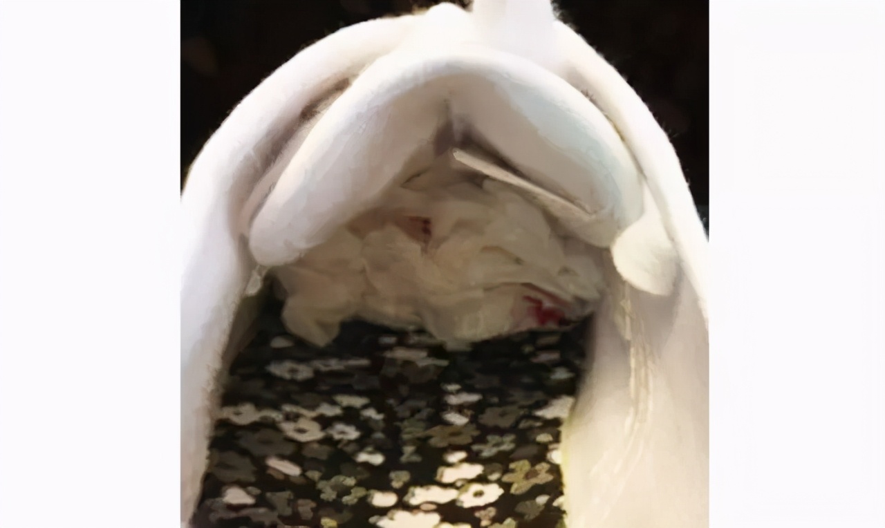 穿腻了小白鞋可以这样来改造,教你把小白鞋变潮流