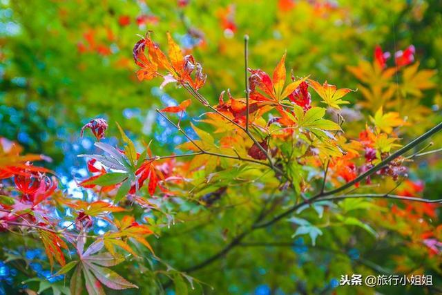 天目湖加南山竹海哪里泡温泉好,天目湖度假秘境享用绝美自然山水