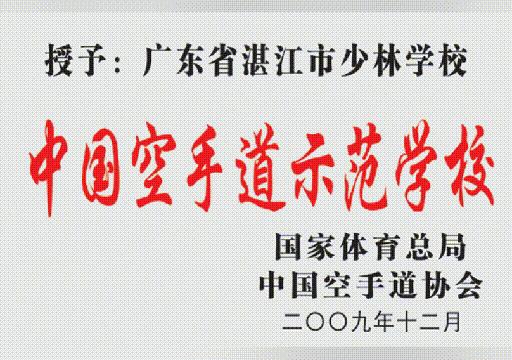 湛江少林武术学校2022招生简章,湛江市少林学校招生简章
