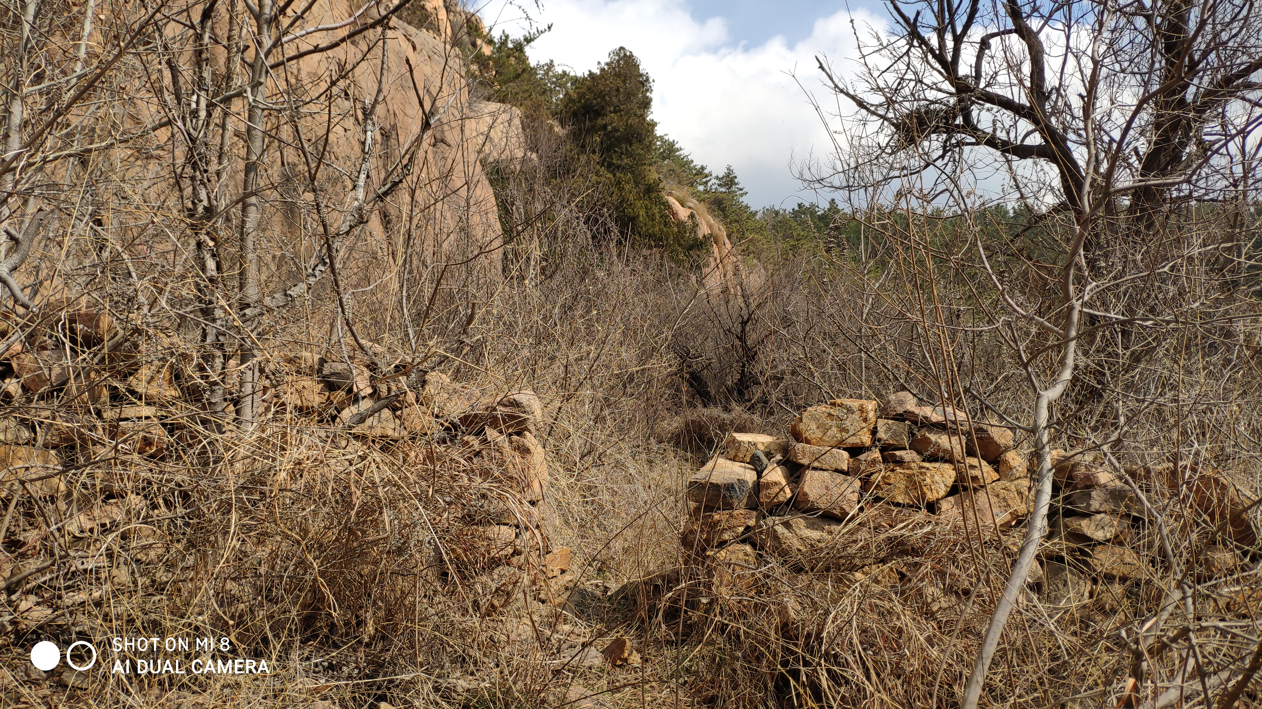 崂山水畔菜蔬鲜，黄石洞中书韵长