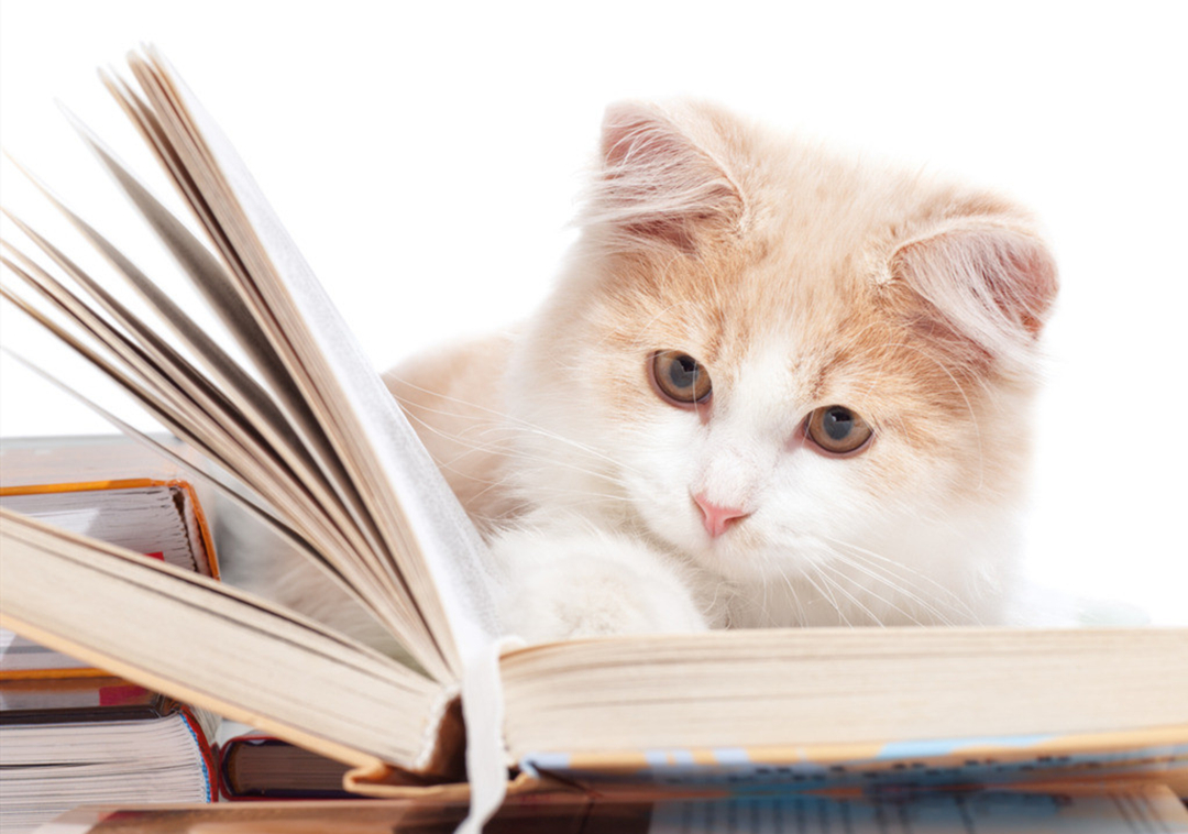 高中完全不收费的高质量自学网站,9个从小学到高中的免费自学网站