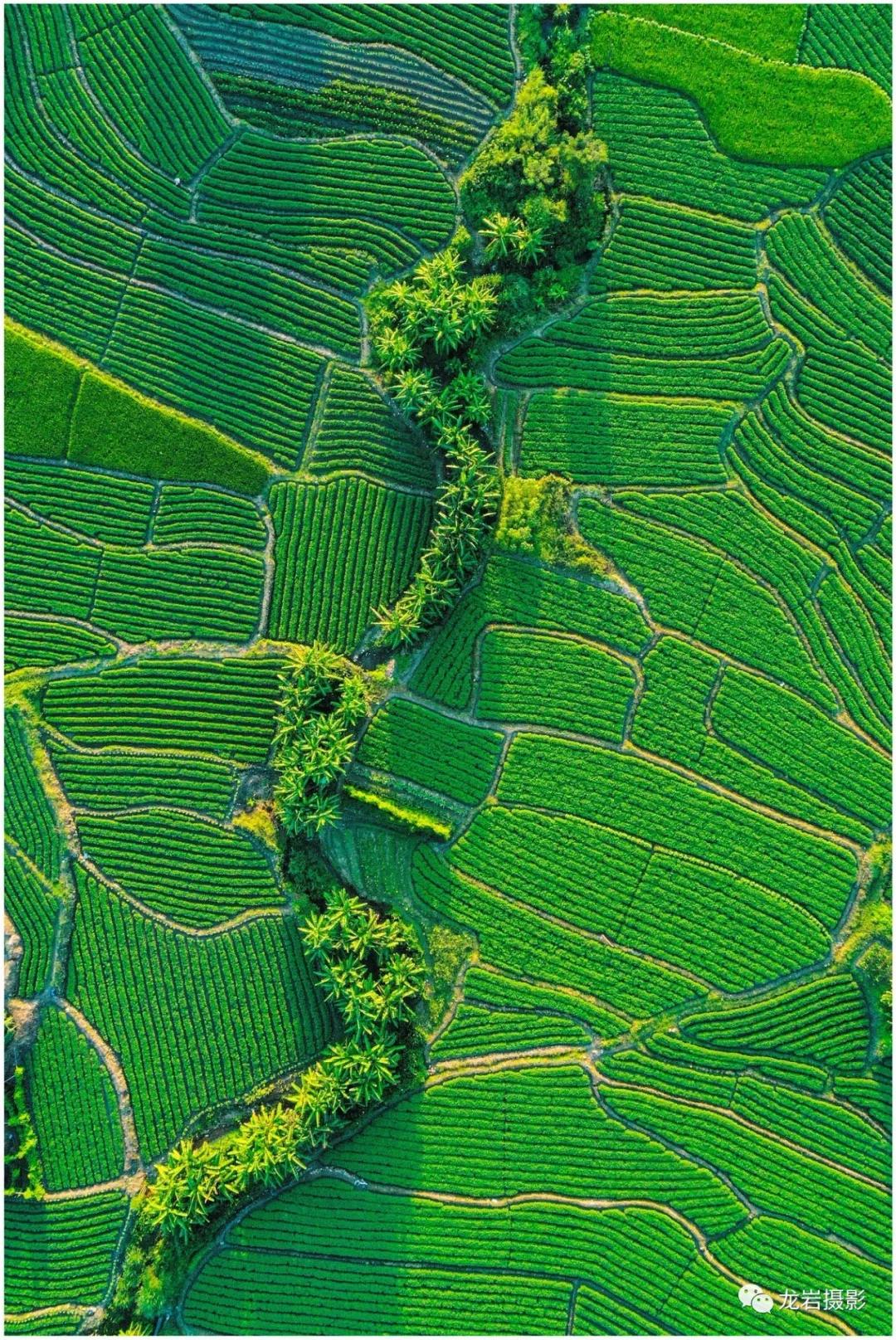 @龙岩人，让我们跟随无人机，一起飞跃闽西