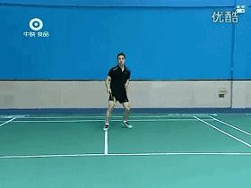 金秋诗画（学羽精华33.发力技巧）