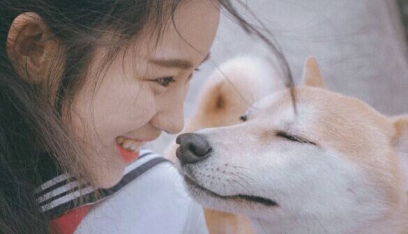 怎么纠正狗狗舔人的习惯,狗狗特别爱舔人怎么制止