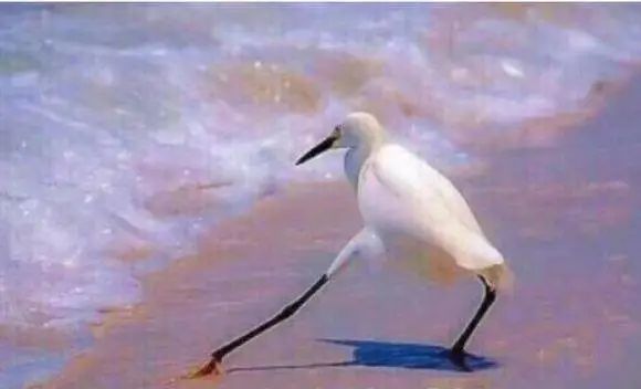 小学生减肥有多狠,小学生减肥的矛盾