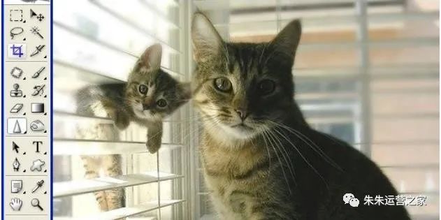 朱朱运营之家：学习PS工具箱中的模糊/锐化/涂抹工具