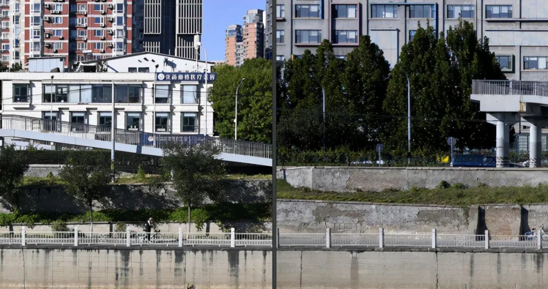 尼康z50配dx镜头,尼康zdx镜头