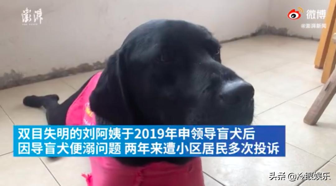 小动物永远都幸福,小动物长得最美也最可爱