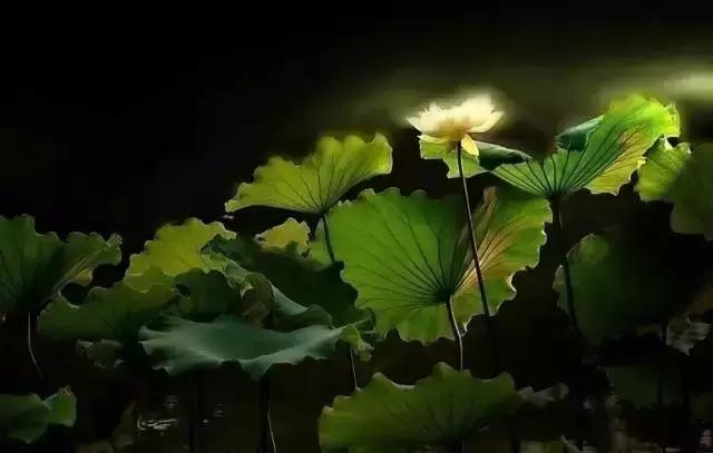 最经典的十首秋分诗词大全,秋分的优美诗词发朋友圈