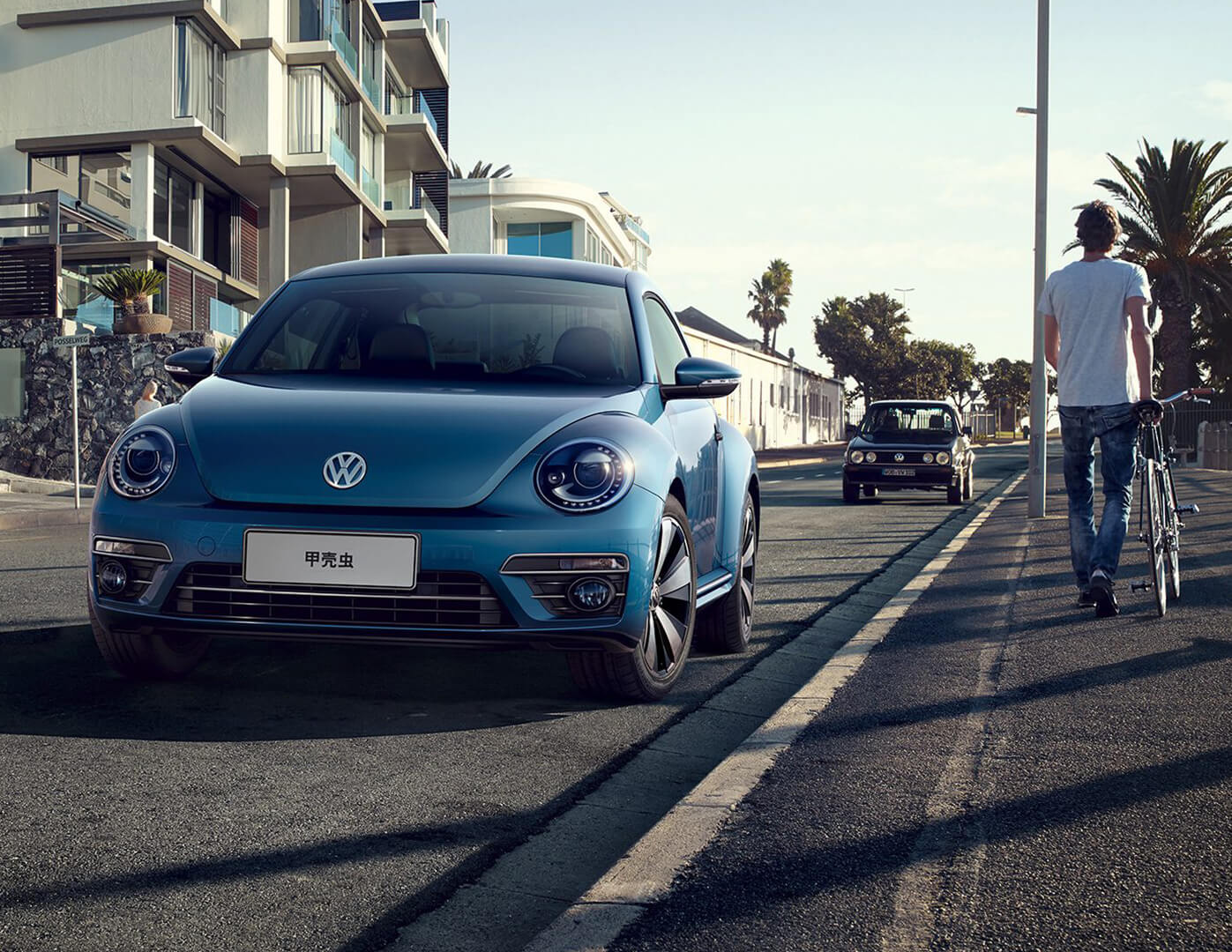 再见甲壳虫真实视频,告别纪念甲壳虫