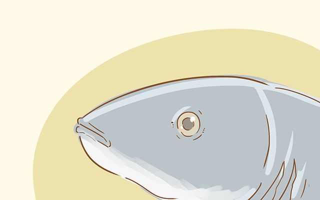 孕期吃什么鱼胎儿会更聪明,什么鱼孕妇后期吃好