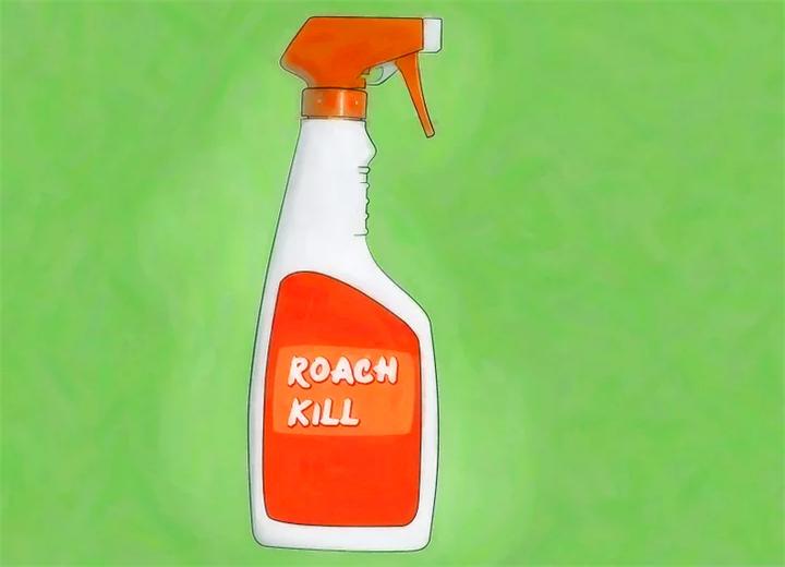 家里蟑螂太多怎么能彻底清除蟑螂,家里蟑螂多如何灭蟑螂