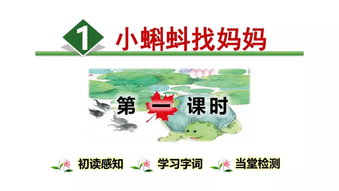部编小蝌蚪找妈妈讲课视频,部编二上小蝌蚪找妈妈课件