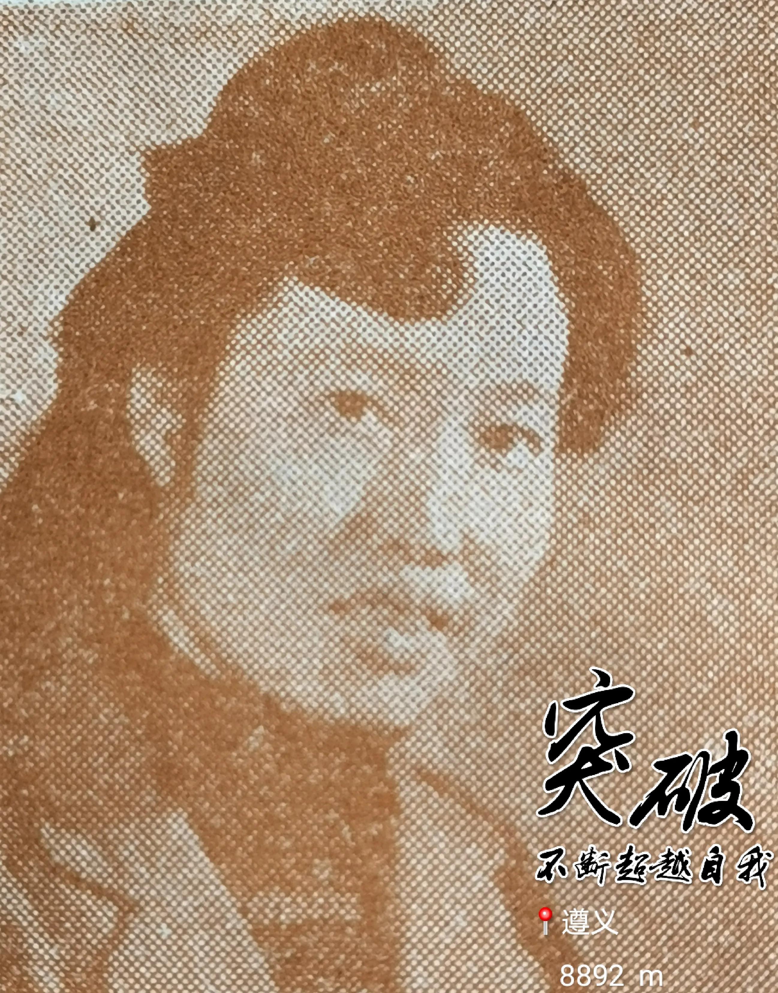 贵州大学8090后的回忆,贵州大学往事