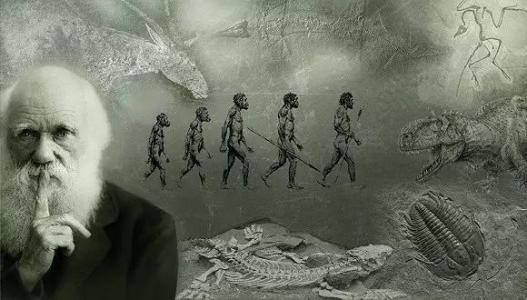 演化是关于物种起源的理论,人类起源学说达尔文的进化论