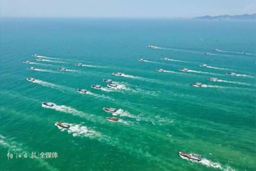 广东开海吃海鲜攻略,开海吃海鲜攻略