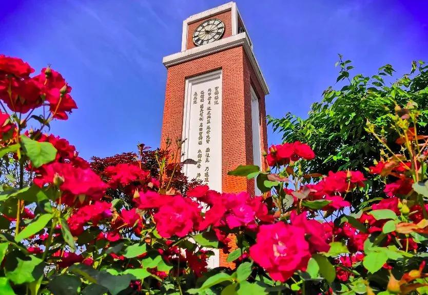 杭州美职学校风景,杭州美丽学校评选