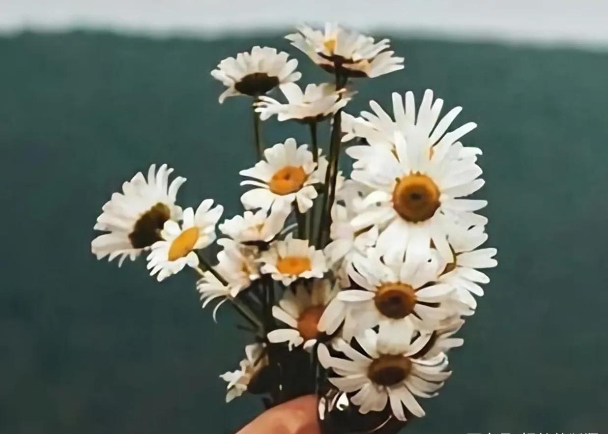 爱你的人会投其所好,表达一个人爱你爱到竭尽所能