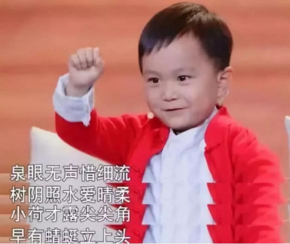 3岁认识5000个字,3岁认识3000个汉字