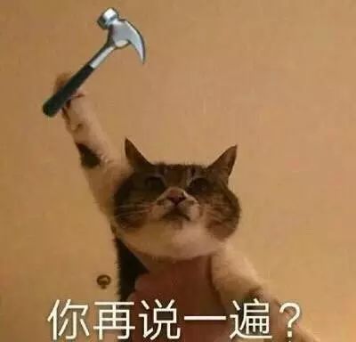 盘点那些网传使用感爆棚，实际很鸡肋的产品，你有同款不？