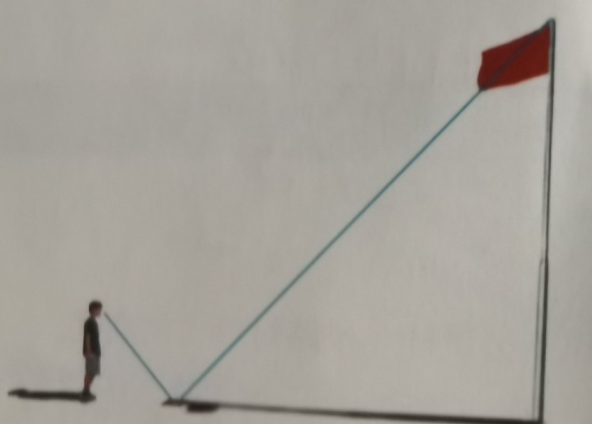 相似三角形方法归纳及应用,相似三角形的讲义