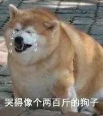 我是不是最后一个知道A站还活着的人？