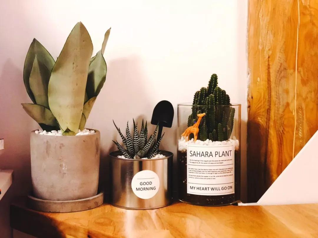 90后夫妻改造老房子,北京老破小2居翻新改造