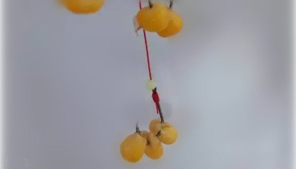 用玉米钓鱼最正确的挂钩方法,用玉米挂钩怎么才能钓到鱼