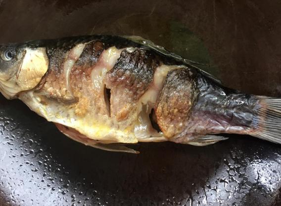 炖鱼汤选用什么鱼最好吃,炖鱼汤一般什么鱼炖的好吃