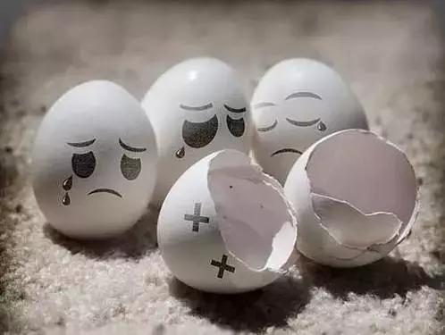 鸡蛋壳手工作品创意幼儿园,碎鸡蛋壳手工粘贴画动物图案