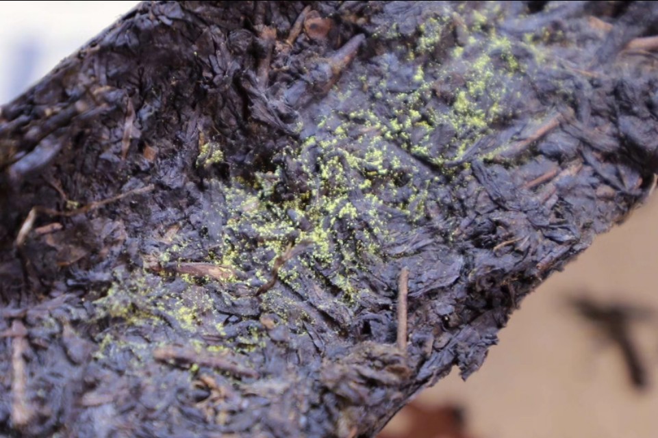 涓浗鍗佸ぇ鍚嶈尪鏄浣曟帓鍚嶇殑,涓浗鍗佸ぇ鍚嶈尪閮芥湁鍝簺