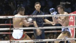 为什么泰拳手抗击打能力很强,什么人的膝盖容易受伤