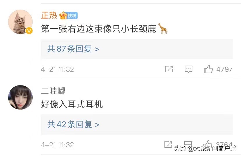 中国的珍稀植物,史上最稀有的十大植物