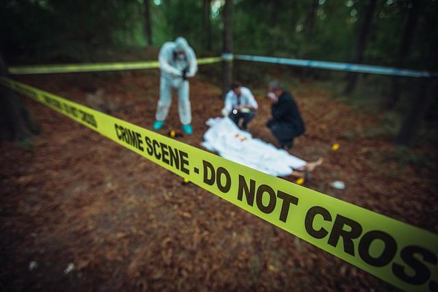 墨西哥选举新消息,墨西哥选举惨案