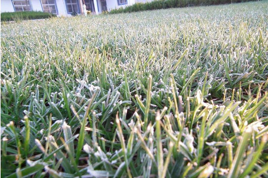 关于农村老话四白四黑是什么,农村俗语四酸四白四难听