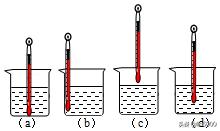 上海2021八年级数学期末试卷,上海市松江八年级下英语月考试卷