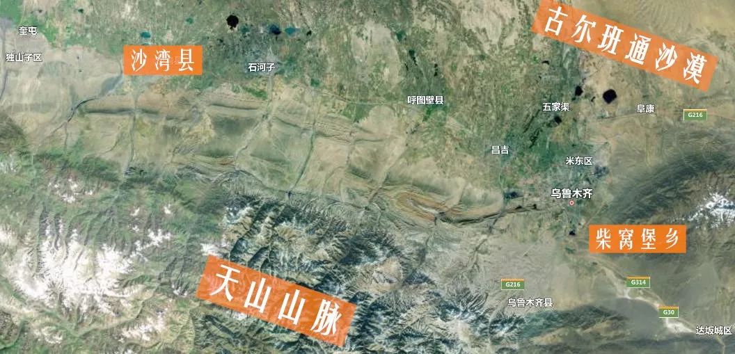 清真大盘鸡为什么贵,新疆大盘鸡到底好不好