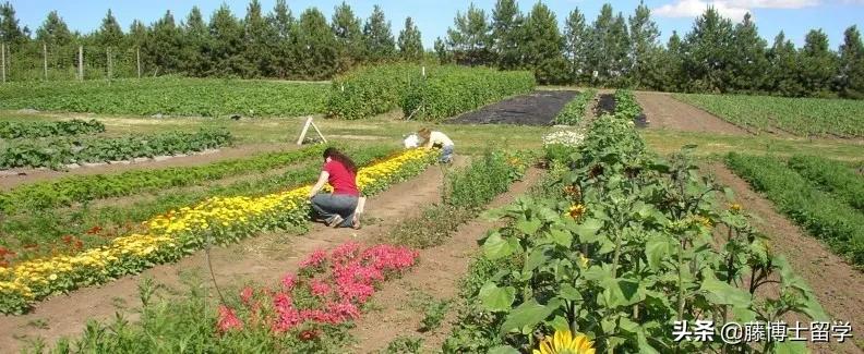 你需要了解的智能家居技术新趋势,国家发布的十大新兴专业