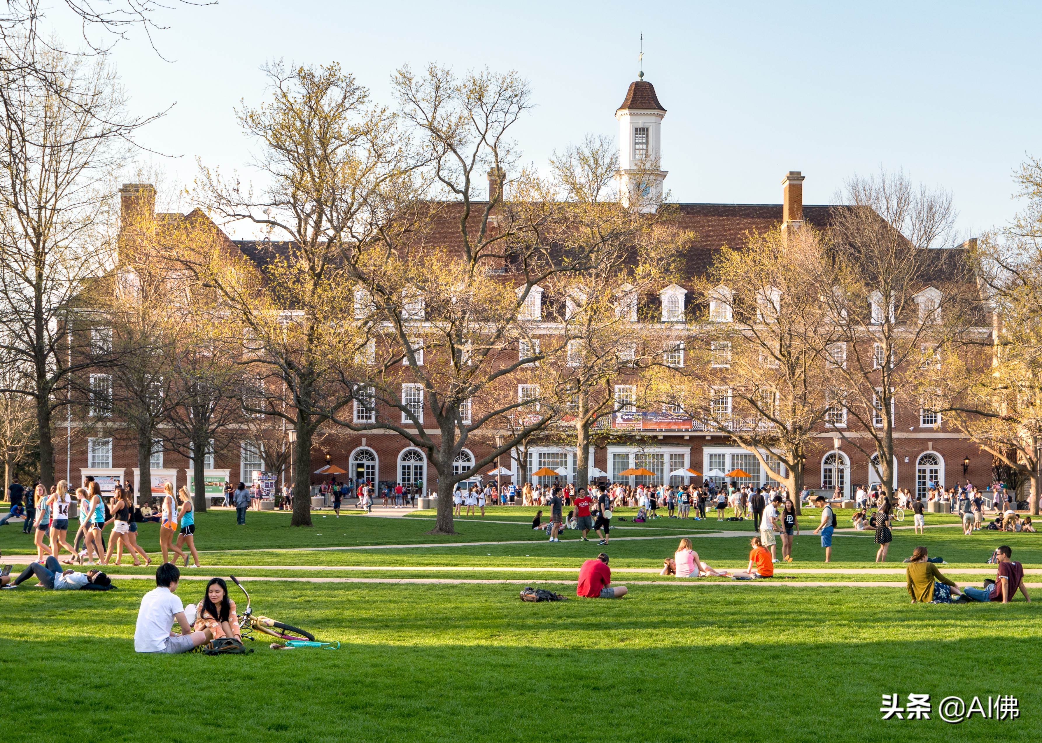 美国东部公立大学排行榜,美国各州最好的公立大学