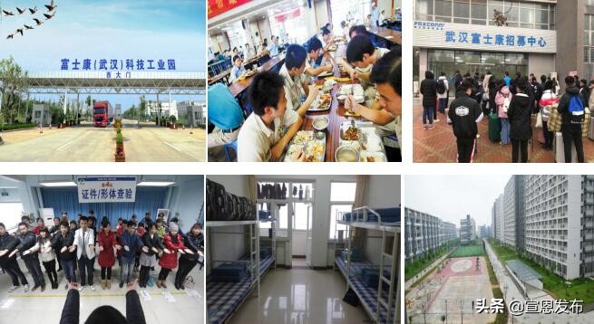 湖北垄上招聘,湖北垄上频道招工信息