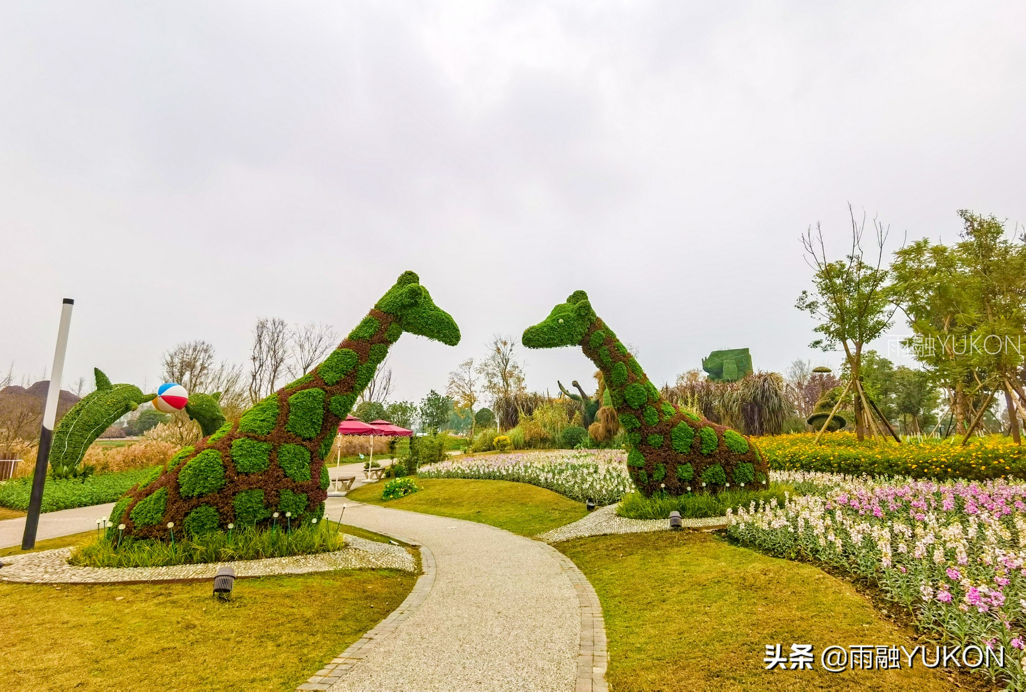 坐拥2项世界纪录的公园：拥有2.2万平米花海，门票仅30元却少有知