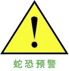 最大眼镜王蛇泡酒,眼镜王蛇用什么药材泡酒好
