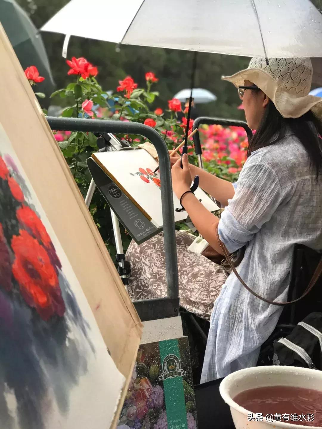 小清新水彩画玫瑰花,水彩画雨中玫瑰