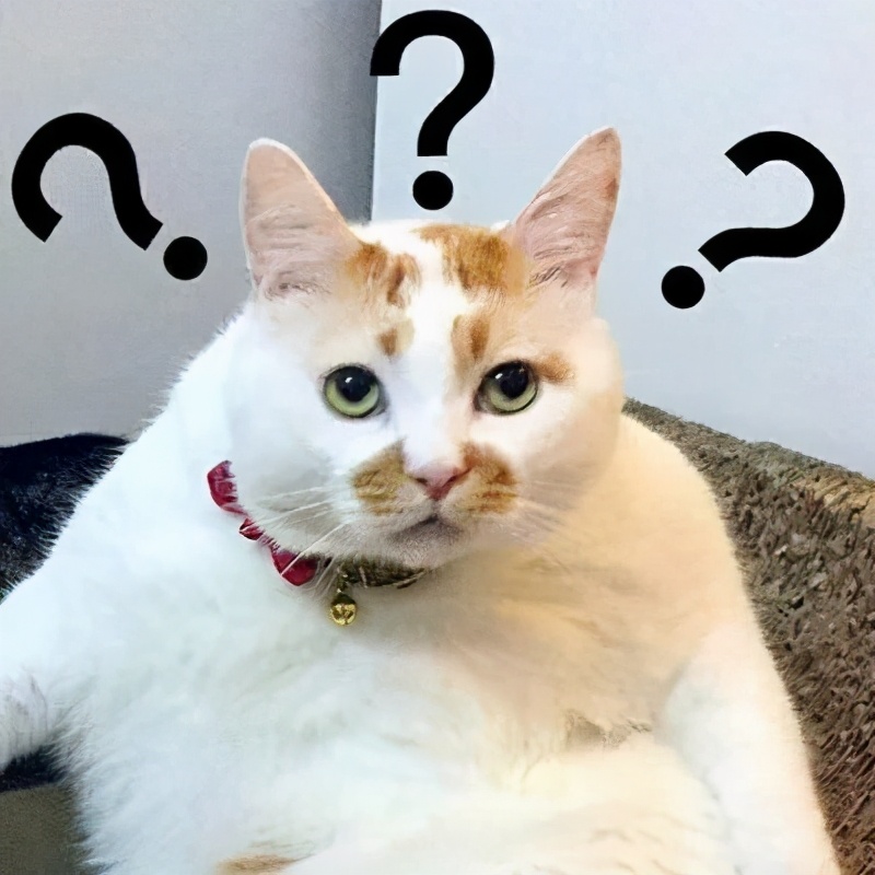 4g套餐会升为5g吗,4g套餐没有了5g套餐又太贵