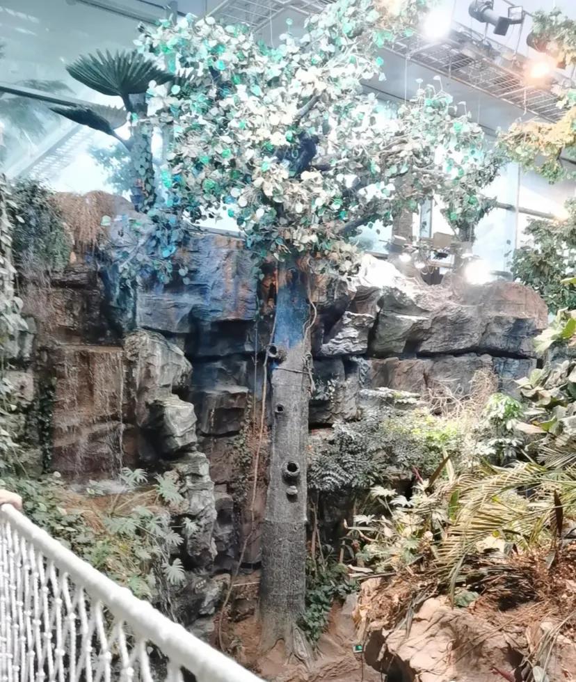 上海科技馆官网,上海科技馆球幕影院