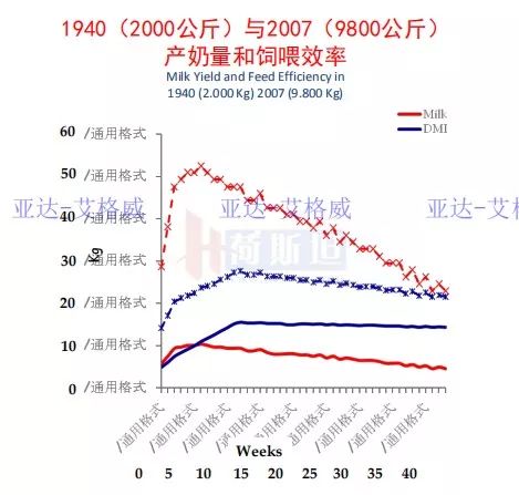 多多牧场高产奶牛的寿命,奶牛生产前有哪些症状